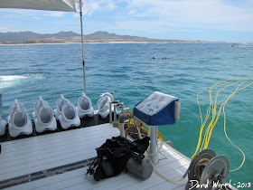 gear, how to, sea trek, equipment, cost