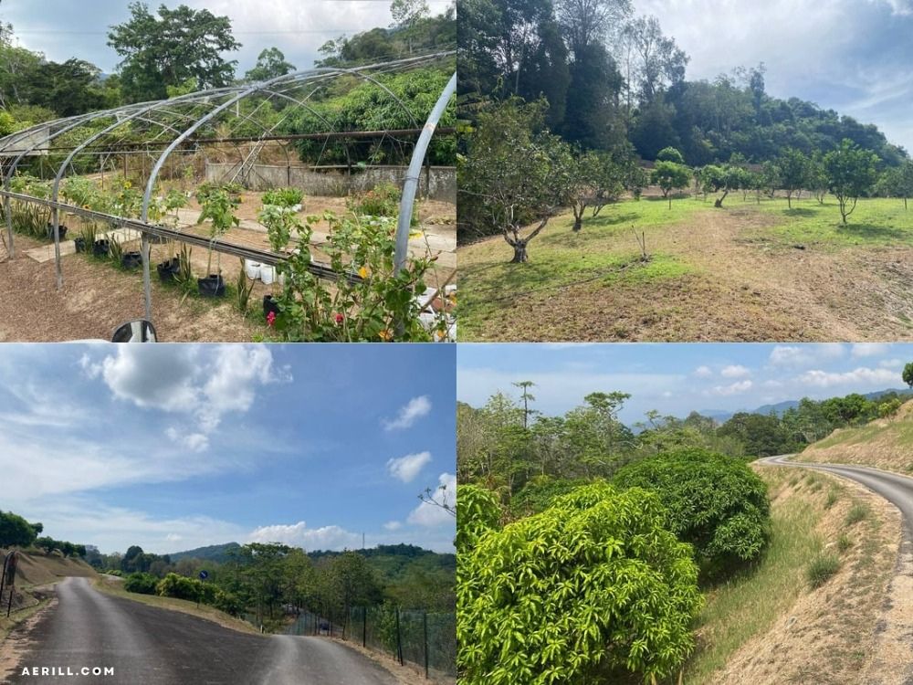 Meneroka Keindahan dan Kepelbagaian di Taman Agroteknologi MARDI Langkawi!