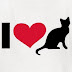 I Love Cats (Eu Amo Gatos)