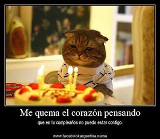 Frases Para Cumpleaños: Me Quema El Corazón Pensando Que En Tu Cumpleaños No Puedo Estar Contigo