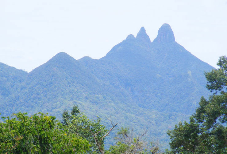 Gunung Daik yang Penuh Misteri  BUNGA RAMPAI ANAK LINGGA