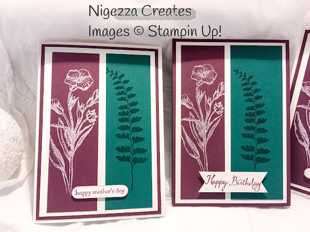 Stampin' Up! In Colours 2017-2019 Nigezza Creates