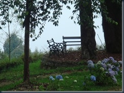 lonely nook