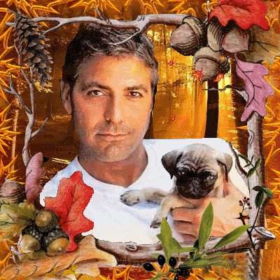 george (11)