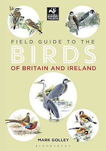 Field Guide to the Birds of Britain and Ireland (English Edition)