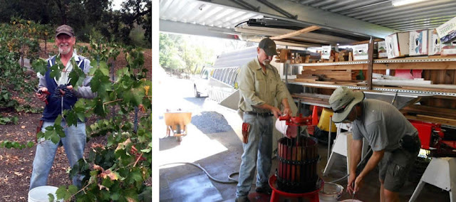 Pick and Press at Raford Inn, Healdsburg