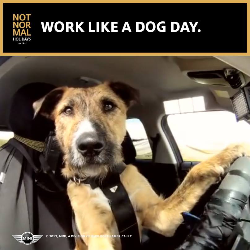 Work Like a Dog Day