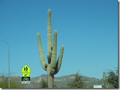 DSCN3364