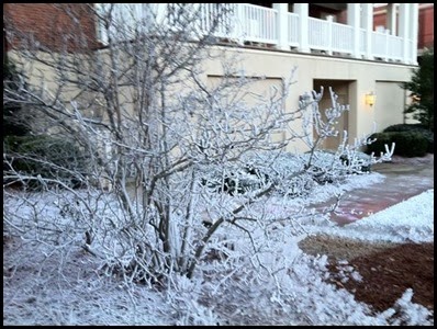 ice0
