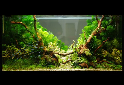 IMGP5057_1