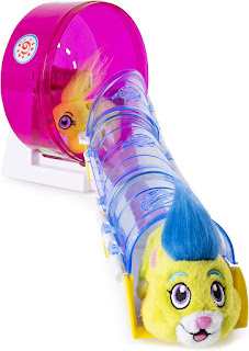 Hamster Wheel with Tunnel