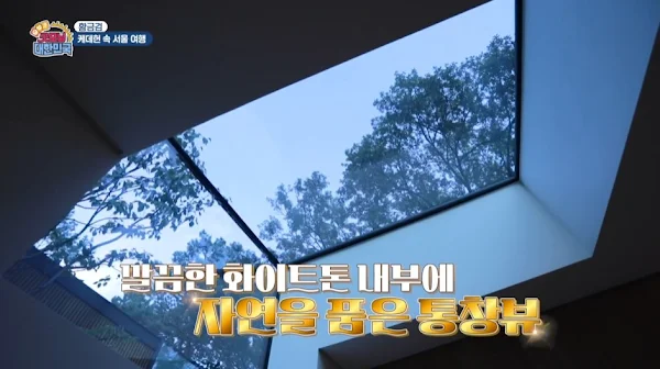 굿모닝대한민국 황금검 케데헌 속 서울여행 트리하우스 통창뷰