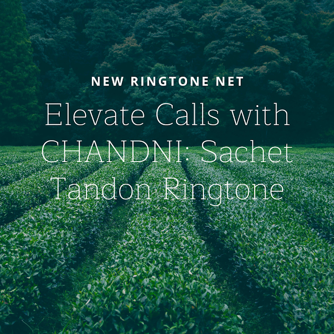 Ethereal Tunes: 'CHANDNI' Sung by Sachet Tandon