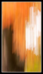 web_IMG_6254