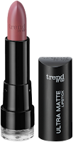 Preview: Die neue dm-Marke trend IT UP - Ultra Matte Lipstick 010 - www.annitschkasblog.de