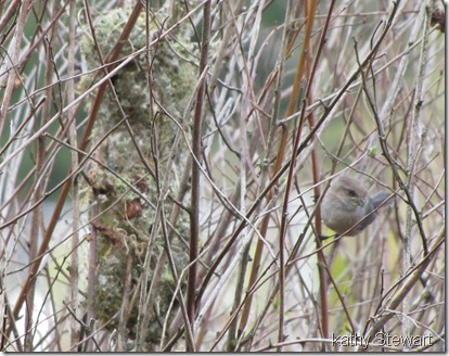 With nesting material