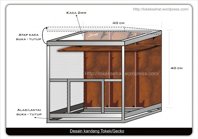 Klangenan Desain  Kandang  Tokek Gecko
