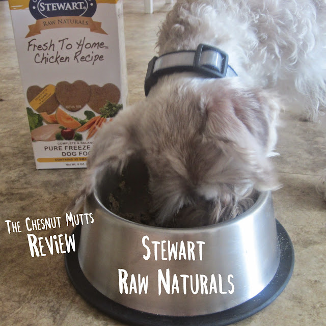 The Chesnut Mutts Review. Stewart Raw Naturals