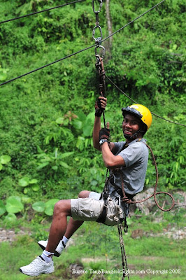 Flying Fox