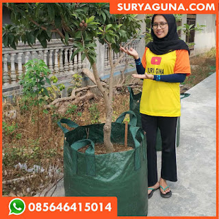 planter bag 50 liter dari surya guna 085646415014