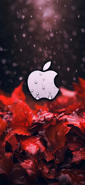 Apple Autumn Mobile Wallpaper is a unique 4K ultra-high-definition wallpaper available to download in 4K resolutions.