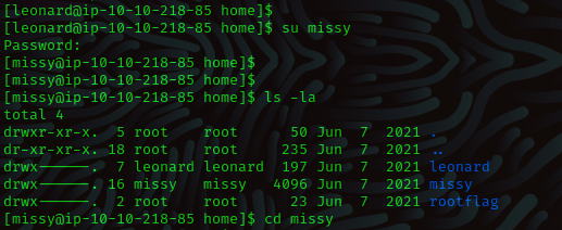 Privilege Escalation: Capstone Challenge - base64