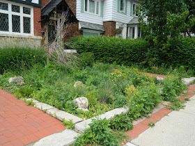 Midtown Toronto Summer Front Garden Cleanup Before by Paul Jung Gardening Services Inc.--a Toronto Gardening Company