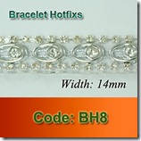 BH8 copy