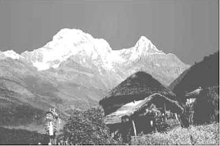 SSC English First Paper | Unit Six | Lesson: 01 | Our Neighbours | Nepal, the land of Everest