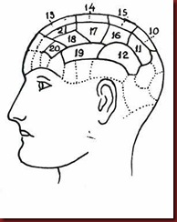 Craniologia 05