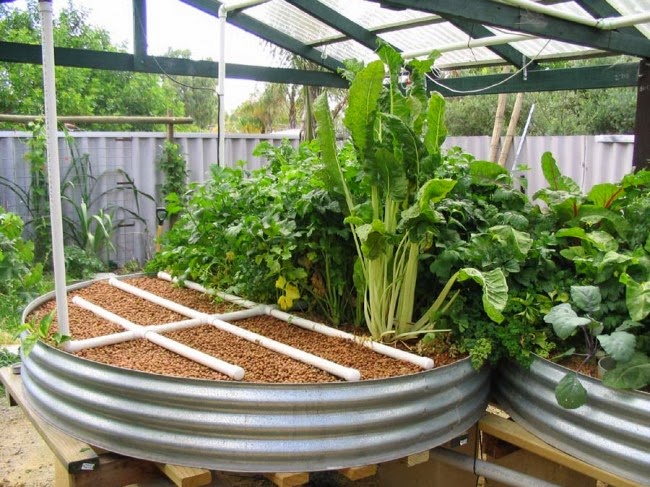  system the media based aquaponics system is the simplest type to set