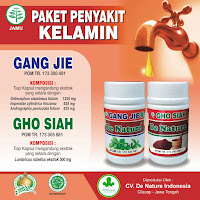  Obat Sipilis dan Kencing Nanah Ampuh