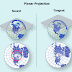 zenithal projection