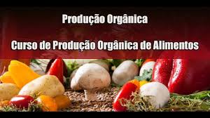 Curso Online de Produção de Alimentos Orgânicos online