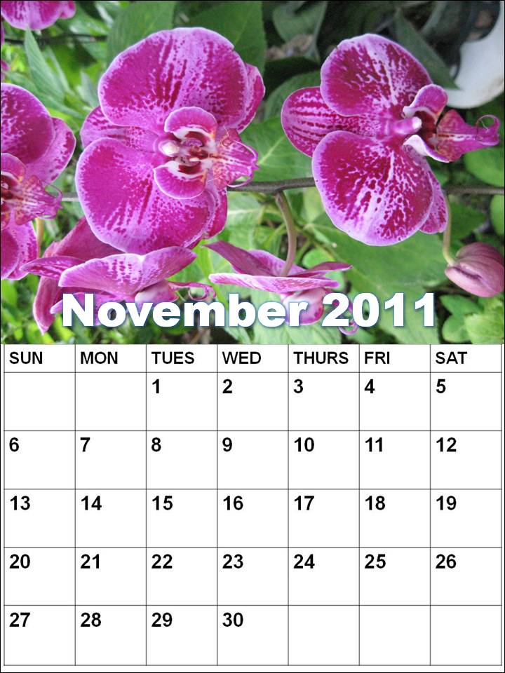 editable calendar 2011. Editable 2011 Calendar.