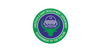 Livestock and Dairy Development Department Punjab Jobs 2023 - Today Govt Jobs