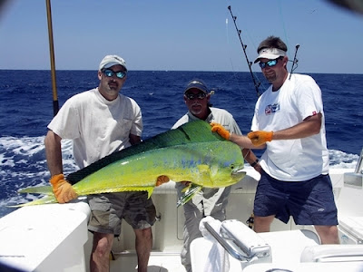 Dorado Fishing in Cabo San Lucas