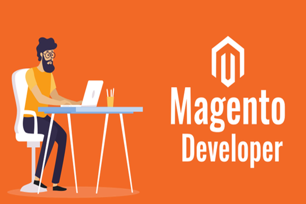 Magento Developer