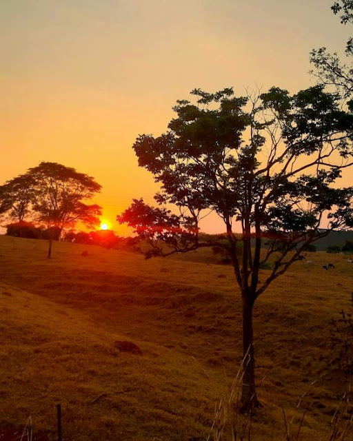 Que hoje seja um dia lindo