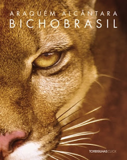 CRUSH FOTÓGRAFO/A - Livro Bicho Brasil