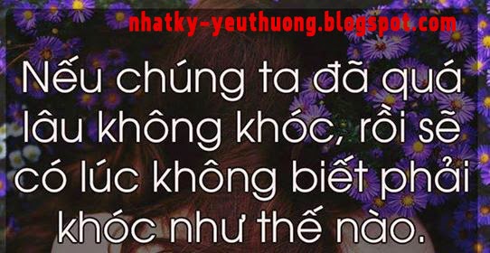  Sua may tinh hcm