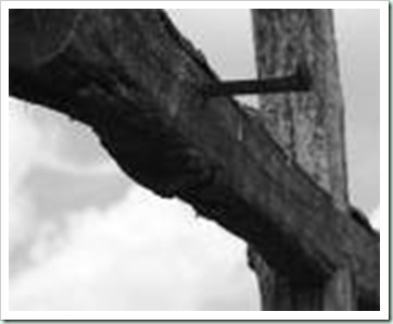 rugged cross