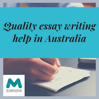 A pictures shows essay writing help