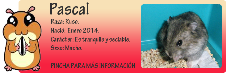 http://almaexoticos.blogspot.com.es/2014/04/pascal-fruto-de-la-ignorancia-humana.html