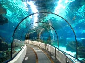 underwater-tunnel_shutterstock_72362389