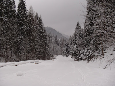 Pieniny, zima w Pieninach, zimowy spacer, zabawa na śniegu, jazda na sankach