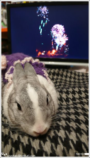 Magi says Happy New Year!!