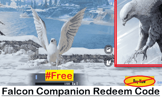 Get PUBG Mobile Redeem Code for a Free Falcon Companion