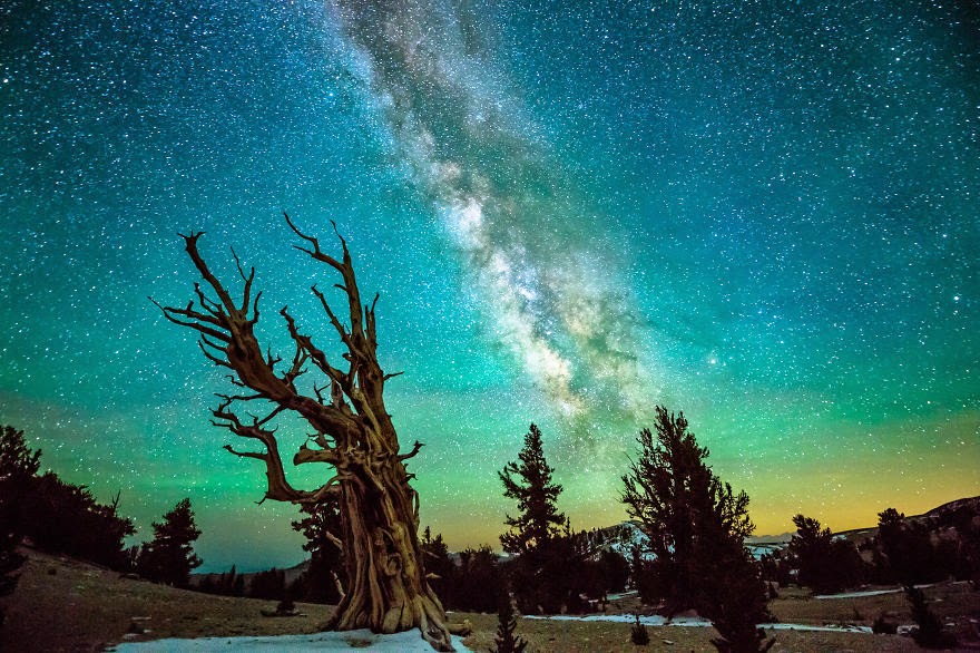 Spectacular Photos Of The Night Sky Around The World