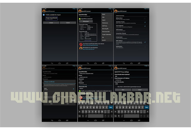 Tampilan, screenshot  OpenVPN Connect di android